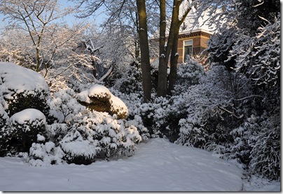 7 December, dik pak sneeuw in de verborgen stadstuin.