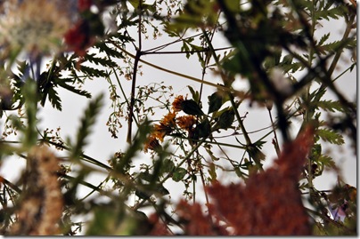 IGNACIO CANALES ARACIL. Sculpture Flower 1. Detail 5