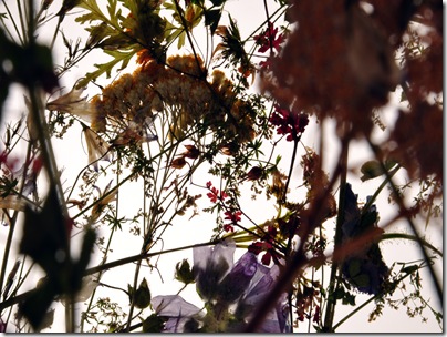 IGNACIO CANALES ARACIL. Sculpture Flower 1. Detail 6