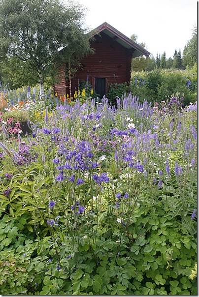 #3-Lapland_3