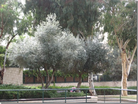 Israel photos-Tel Baruch North-12609 014
