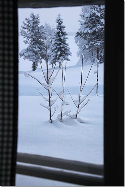 Lapland_1