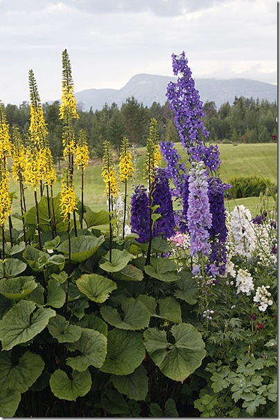 Lapland_2[1]