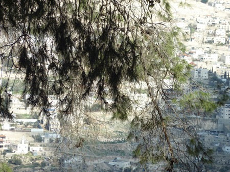 P1020823