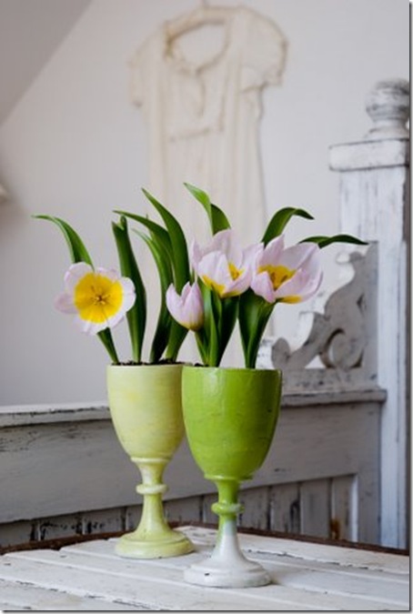 Species Tulips-2[1]