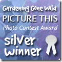 picture_this_silver[1]