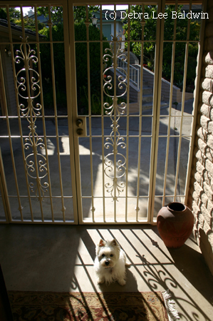 Lily in doorway