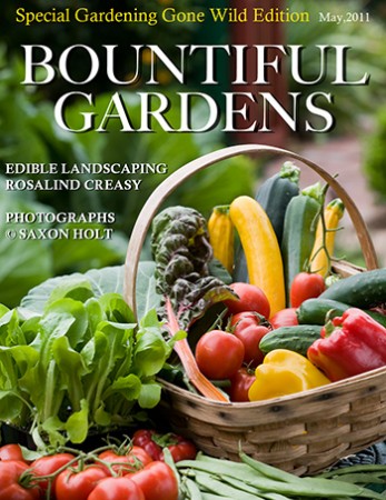 Bountiful_cover