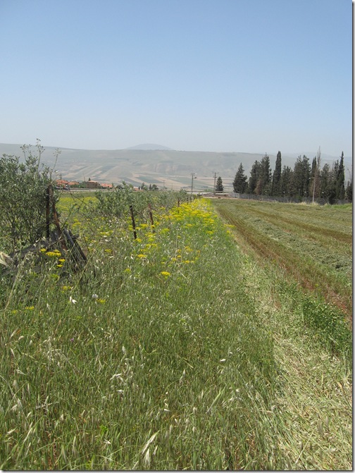 Galilee-42209 010