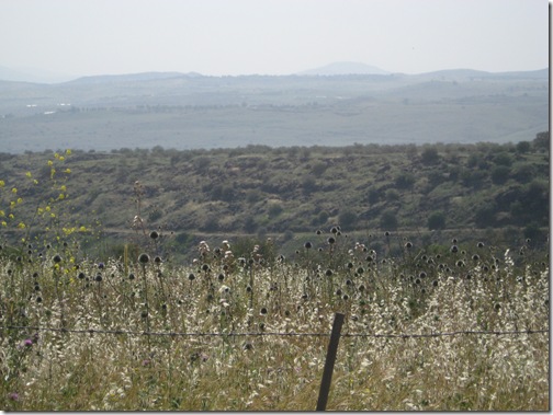 Galilee-42209 012