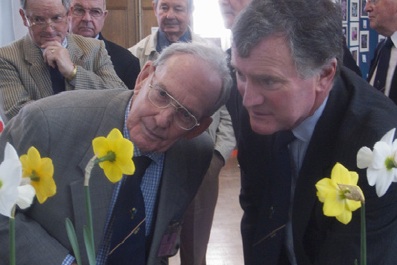 The judges inspecting Narcissi at the Royal Horticultural Society show, London. Pic" Jo Whitworth