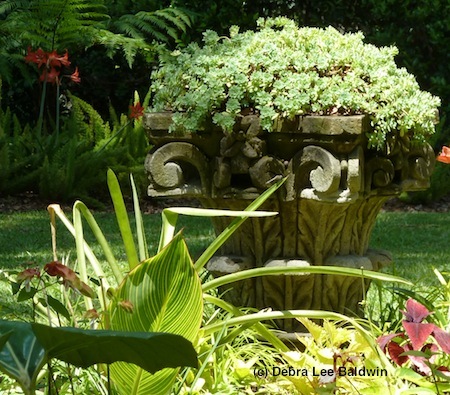 Sedum on pedestal resized