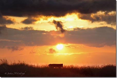Bench at Sunset_0129