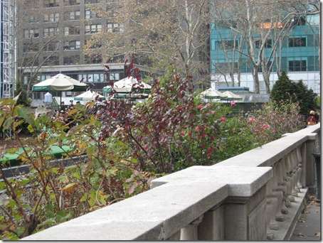 Bryant Park-NYC-112008 018