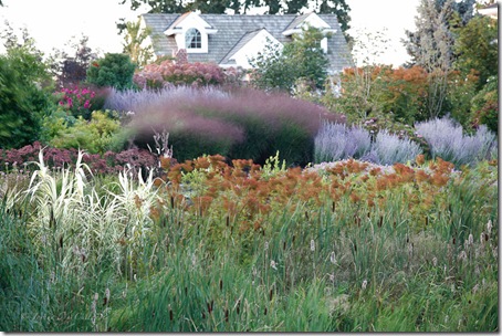 Oakwood Gardens_6480