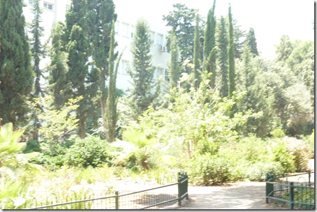 P1040947