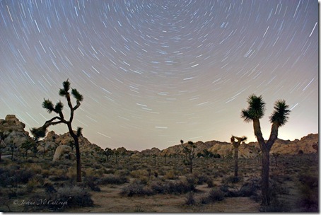 Stars in Joshua Tree_5557a