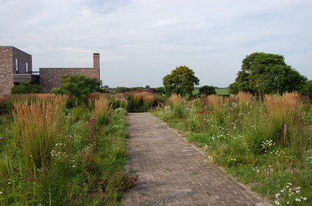 The old Oudolf nursery area planted up as a stylised meadow