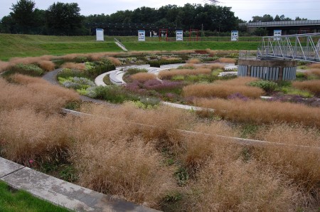 The Oudolf planting at the Berne Park