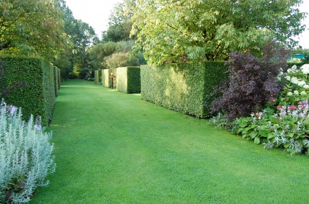 Amazingly crisp hedges are a real featue at de Kleine Plantage