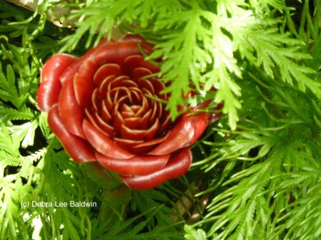 HTBG Rose ginger