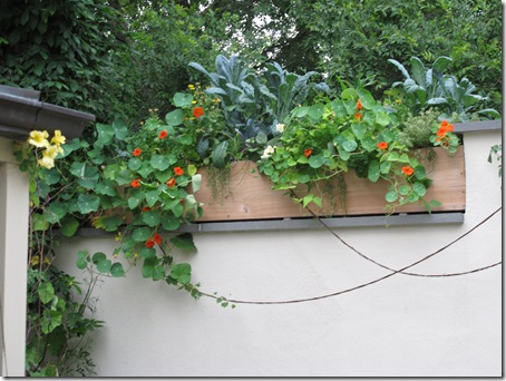 Wall boxes