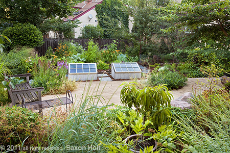 holt_1008_079-450 Minnesota Backyard Permaculture Garden