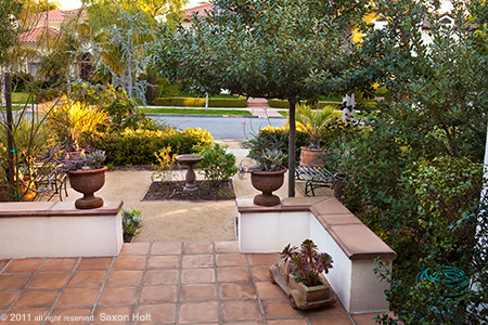 holt_1020_0157-450 California Front Yard Patio and Entry Garden