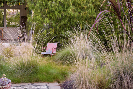 holt_829_535-450 Backyard Meadow, Grass Garden with Rustic Chair