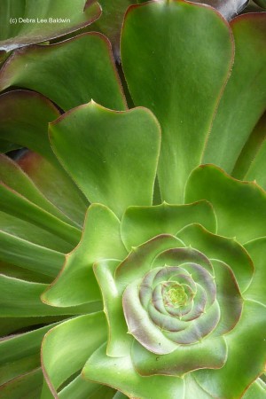 P1040769