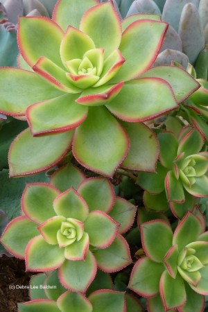 P1040860
