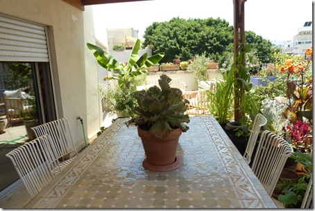 P1050005