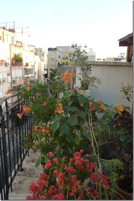 P1050014