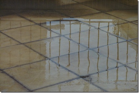 Photos on March 10, 2011 012