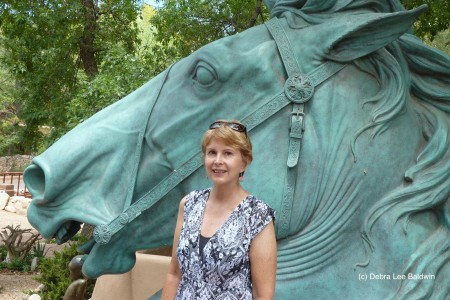 Santa Fe horse