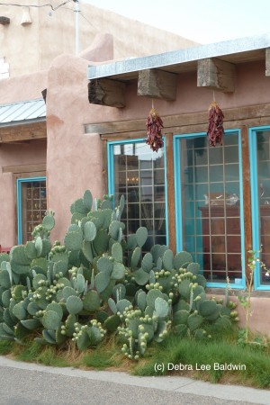 Santa Fe opuntia