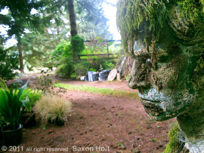 moss man intent