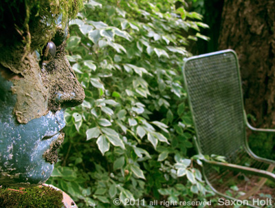 moss man offers a chair