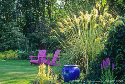 holt_754-006.tif garden of linda cochran, cortaderia richardii