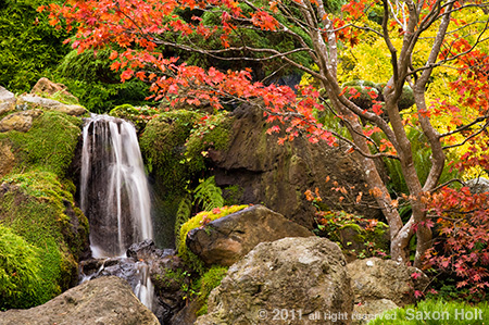 Autumn in Japanese Tea Garden San Francisco