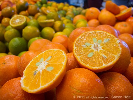holt_1046_003_1000 'Michal' mandarin citrus fruit