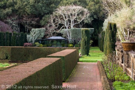 holt_287_6385
