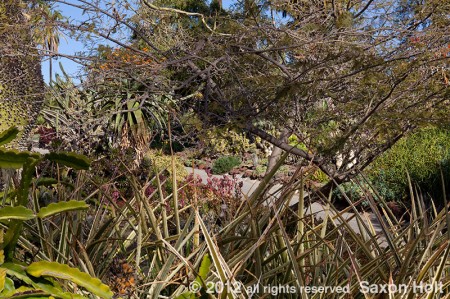 holt_361_1363_800