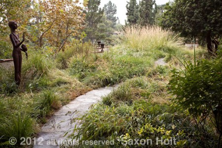 Pasadena meadow lawns