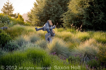 leapfrog om meadow lawn