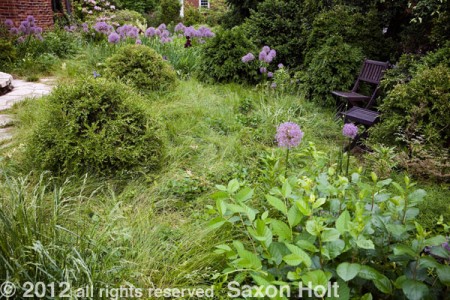 Matt Moynihan St Loius meadow lawns