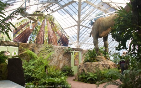 Plantosaurus exhibit at san francisco conservatory of flowers