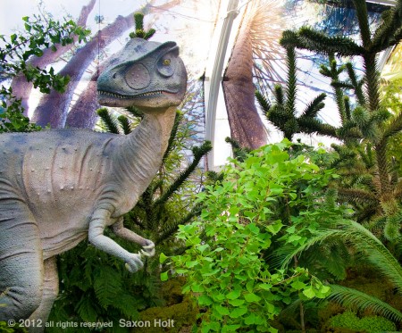 dinosaur in front of Araucaria photo