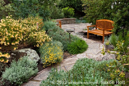 Path 1 California native plant garden