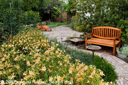 Path 2 California native plant garden